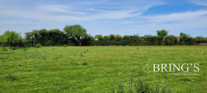 Terrain constructible à vendre, 43 a 29 ca - Épuisay 41360