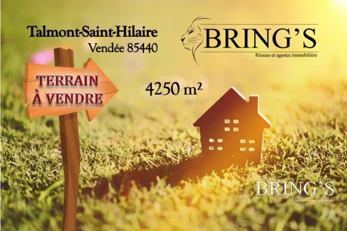 Terrain constructible à vendre, 42 a 50 ca - Talmont-Saint-Hilaire 85440