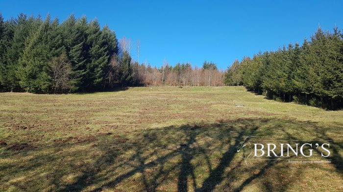 Terrain constructible à vendre, 01 ha 08 a 77 ca - Granges-Aumontzey 88640