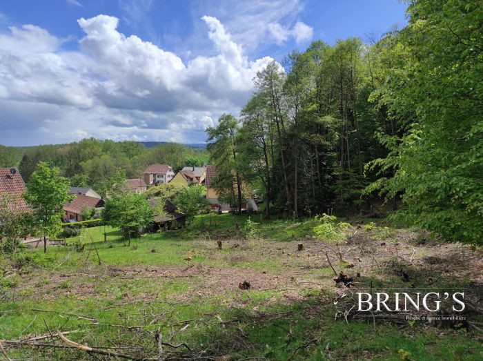 Terrain constructible à vendre, 19 a 91 ca - Reinhardsmunster 67440