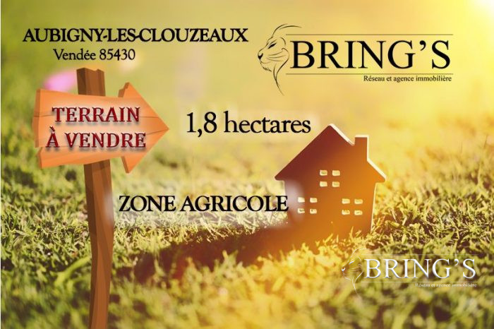Terrain agricole à vendre, 01 ha 80 a 80 ca - Aubigny-Les Clouzeaux 85430