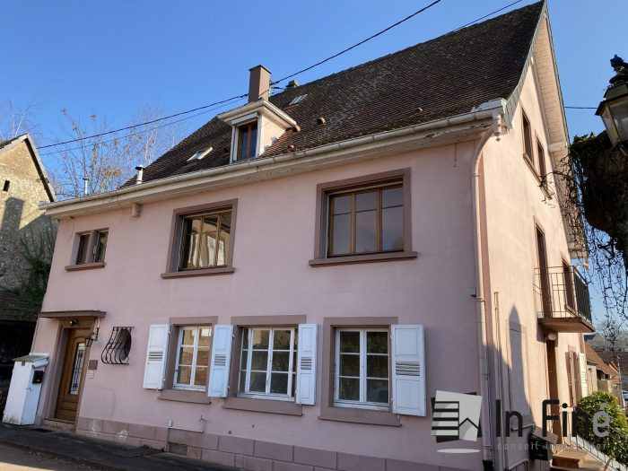 Maison individuelle à vendre, 10 pièces - Reichshoffen 67110