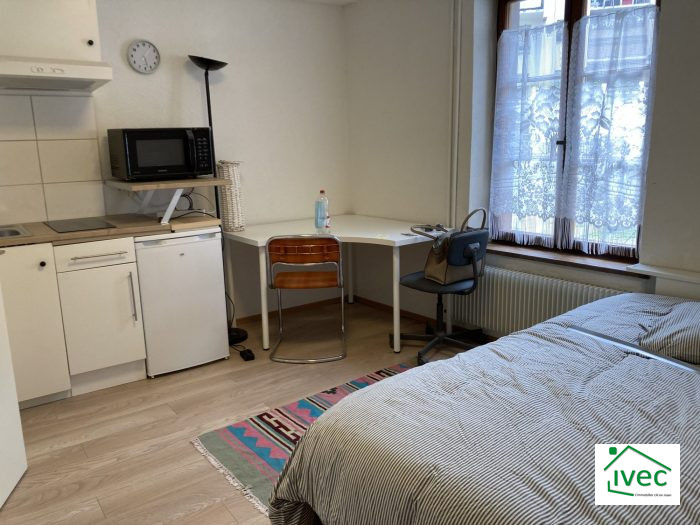 Appartement à louer, 1 pièce - Strasbourg 67000