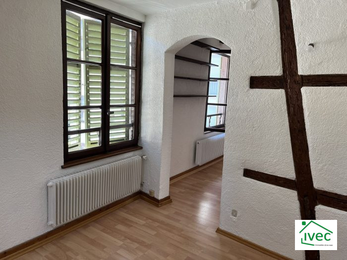 Appartement à louer, 1 pièce - Strasbourg 67000