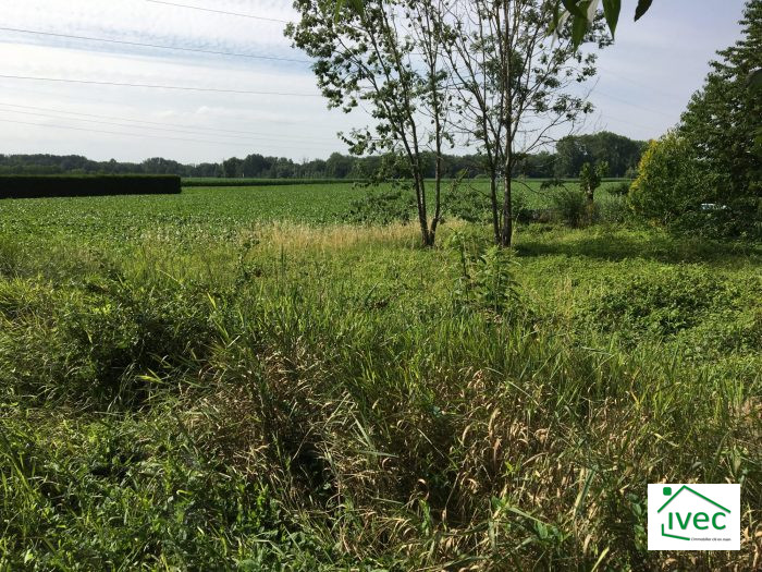 Terrain constructible à vendre, 09 a 84 ca - Lipsheim 67640