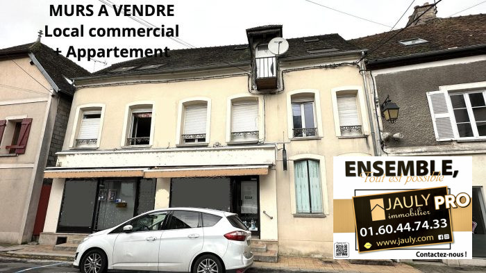Local commercial à vendre, 350 m² - Bray-sur-Seine 77480