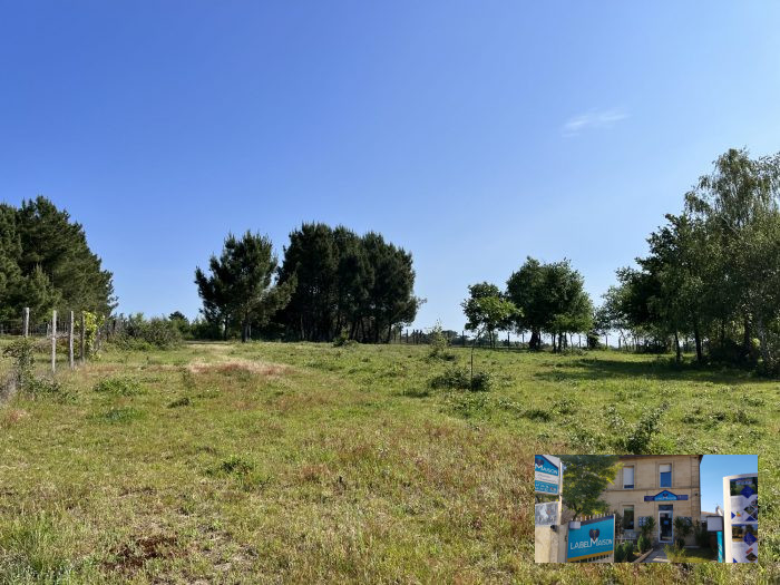 Photo Girondine en pierre de taille avec dependances sur plus de deux hectares image 31/32