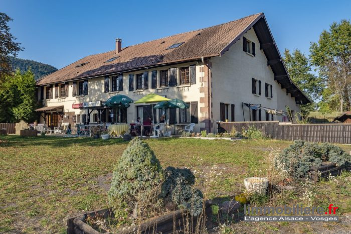 Ferme à vendre, 18 pièces - Saulcy-sur-Meurthe 88580