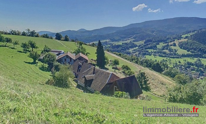 Votre prochaine propriété avec une vue à 360 ° sur les merveilleux massif des Vosges. Offre exceptionnelle et rare.