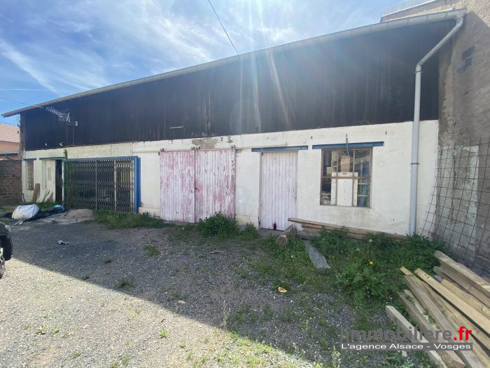 Local commercial à vendre, 350 m² - Saint-Dié-des-Vosges 88100