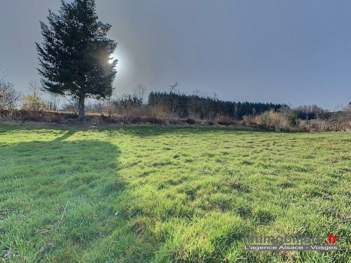 Terrain constructible à vendre, 1107 m² - Ban-de-Laveline 88520