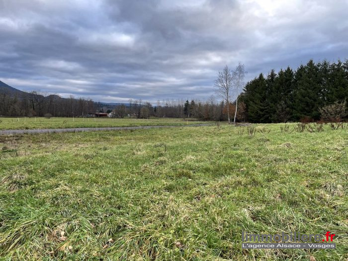 Terrain constructible à vendre, 2261 m² - Raves 88520