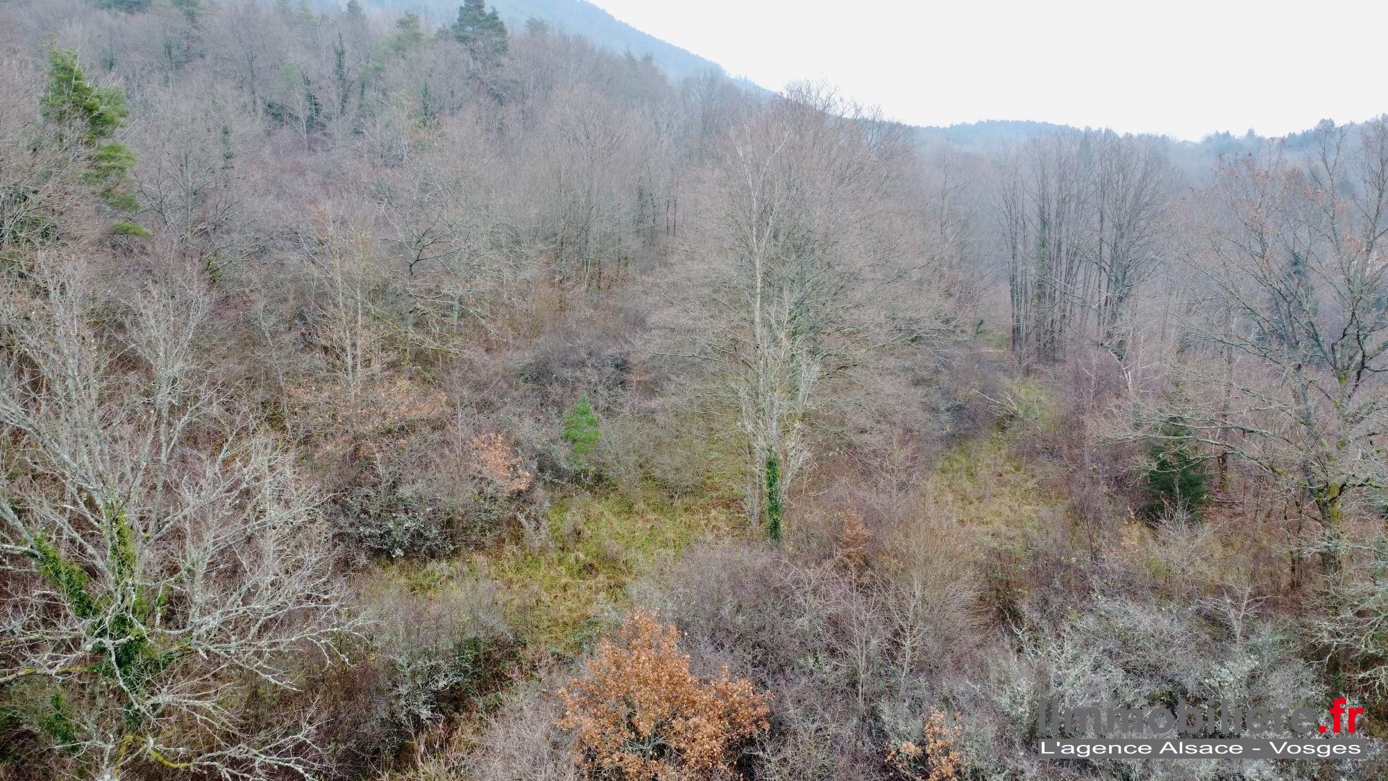 Vente Terrain SAINT-DIE-DES-VOSGES 88100 Vosges FRANCE