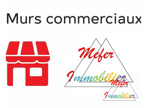 Vente Bureau/Local NAY 64800 Pyrenes Atlantiques FRANCE