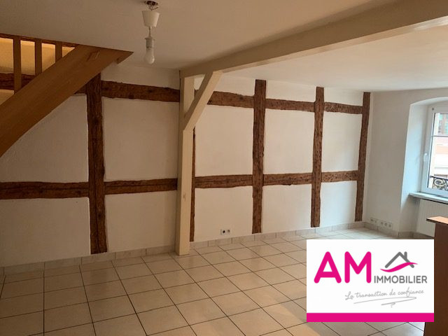 Vente Appartement SOULTZ-HAUT-RHIN 68360 Haut Rhin FRANCE