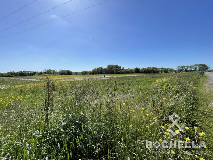 Terrain constructible à vendre, 2225 m² - Muron 17430