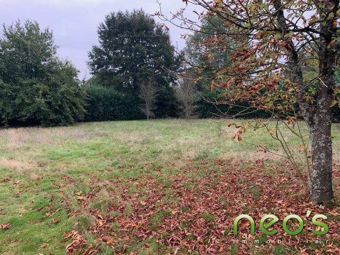 Terrain constructible à vendre, 10 a 94 ca - Sèvremoine 49450