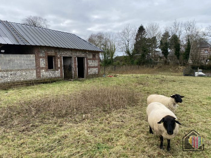 Maison ancienne à vendre, 2 pièces - Gerville 76790