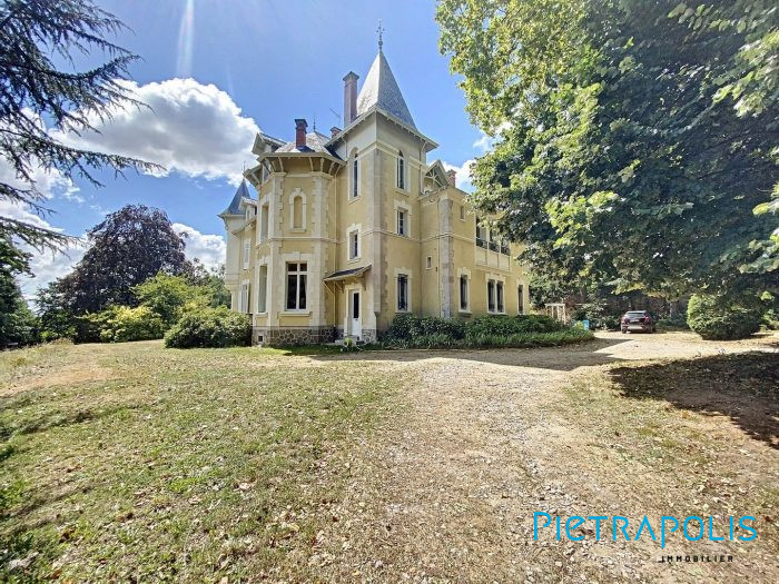Château à vendre, 19 pièces - Saint-Julien-Molin-Molette 42220