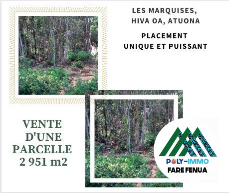 Terrain constructible à vendre, 29 a 51 ca - Atuona 98741