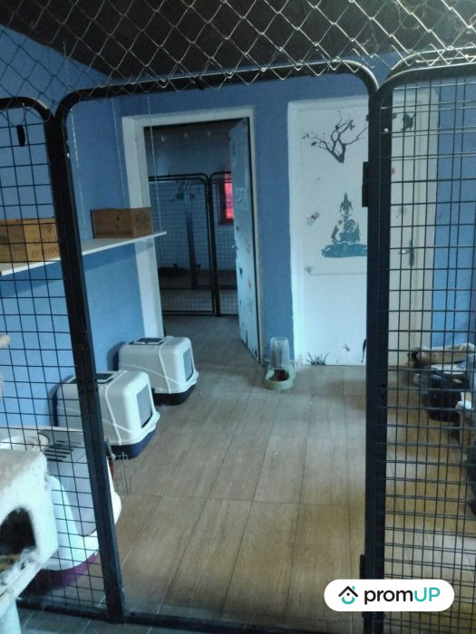 Photo Domaine pension canine et féline avec maison de 80 m2 à Saint-Cirq image 22/27