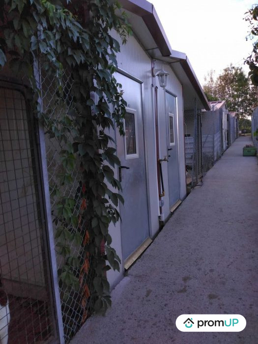 Photo Domaine pension canine et féline avec maison de 80 m2 à Saint-Cirq image 26/27