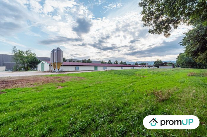 Photo Locaux agricoles de 2500m² situés à Saint-Léger-sur-Roanne. image 11/11