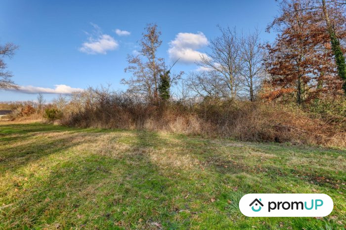 Grand terrain boisé au cœur de la Grande Sologne dans le Loir-et-Cher