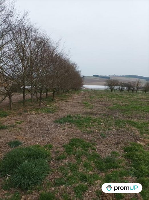 Photo Terrain agricole de 9 hectares à Villefranche-du-Queyran image 1/2