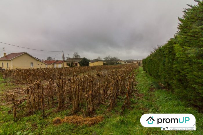 Photo Beau terrain constructible de 2 930 m² en Dordogne image 7/12