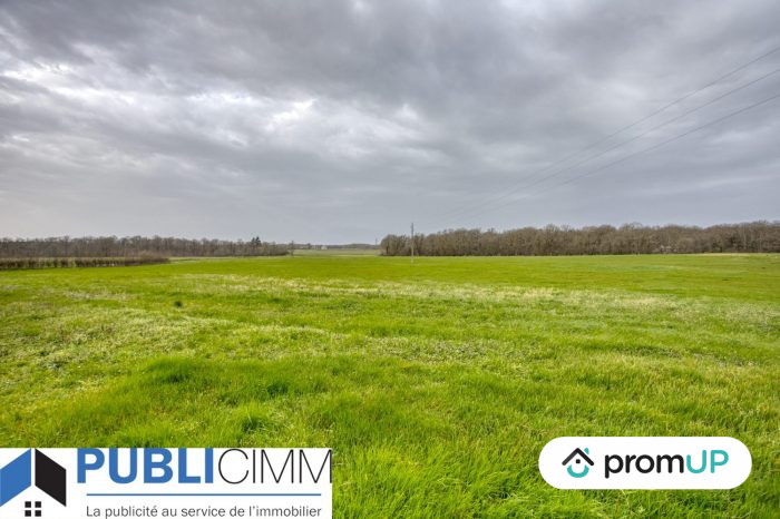 Photo Domaine agricole de 360 000m² situé à Velles - 333 000 € image 4/13
