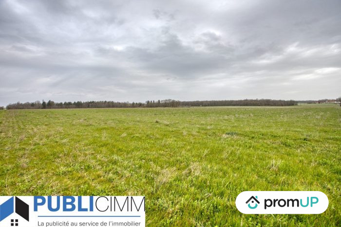 Photo Domaine agricole de 360 000m² situé à Velles - 333 000 € image 6/13