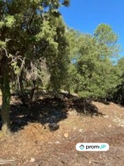 Terrain de forêt de plus de 5 hectares à Draguignan