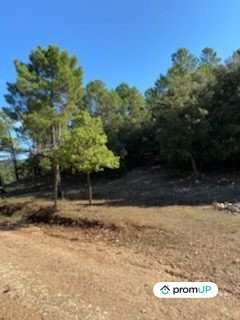 Photo Terrain de forêt de plus de 5 hectares à Draguignan image 4/5
