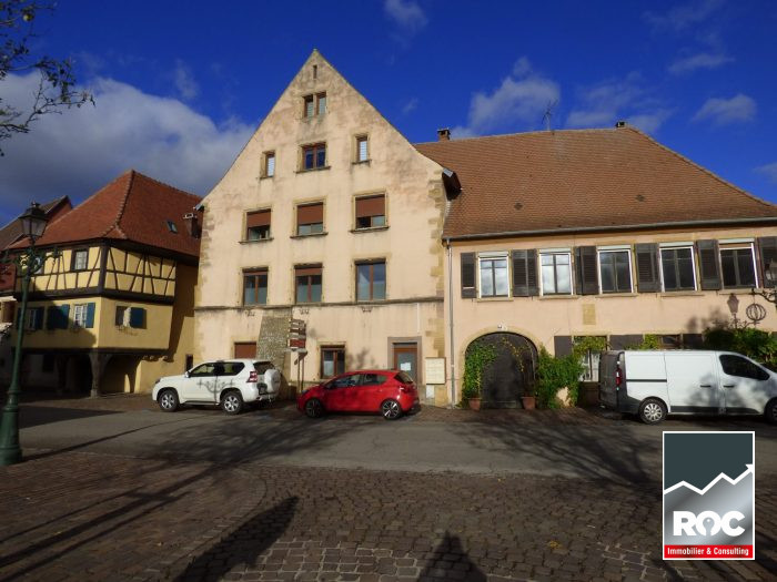 Immeuble à vendre, 480 m² - Rouffach 68250