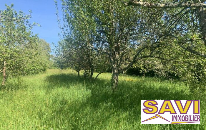 Terrain constructible à vendre, 2231 m² - Bazoches-sur-le-Betz 45210