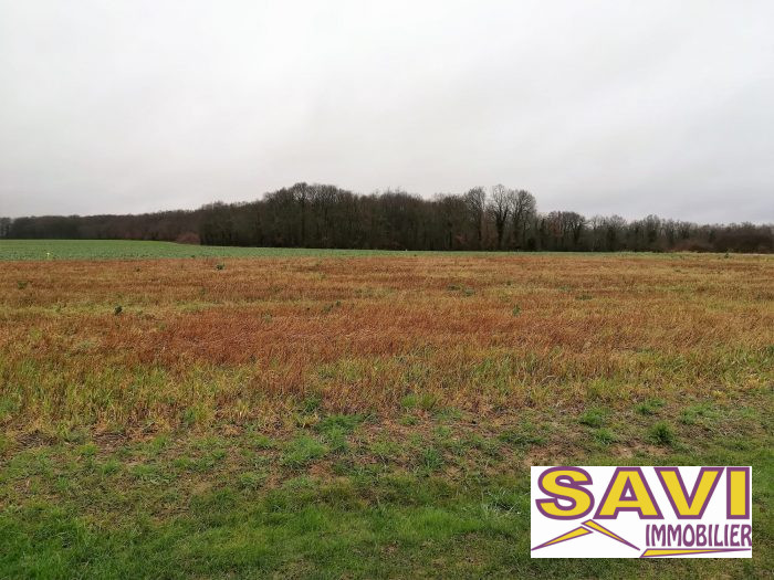 Terrain constructible à vendre, 1299 m² - La Selle-sur-le-Bied 45210