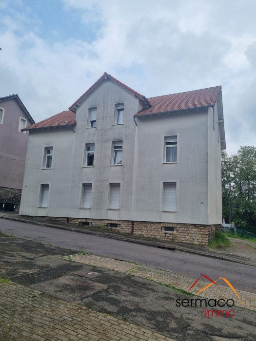 Vente Immeuble FREYMING-MERLEBACH 57800 Moselle FRANCE
