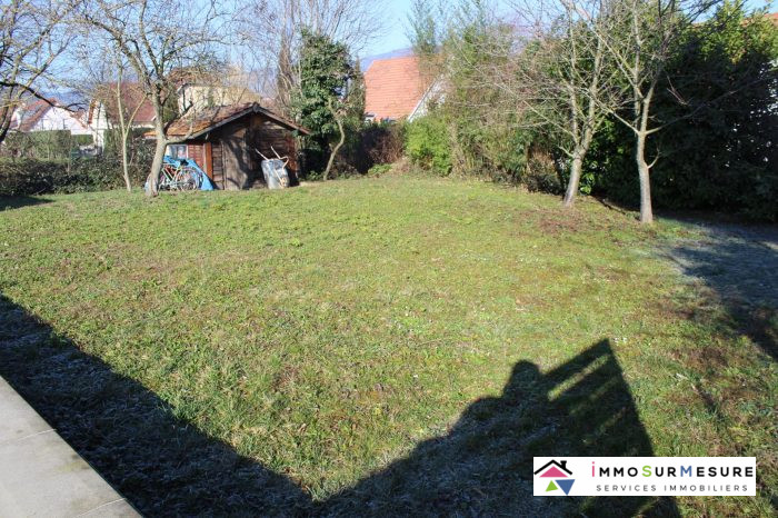 Maison individuelle à vendre, 6 pièces - Cernay 68700