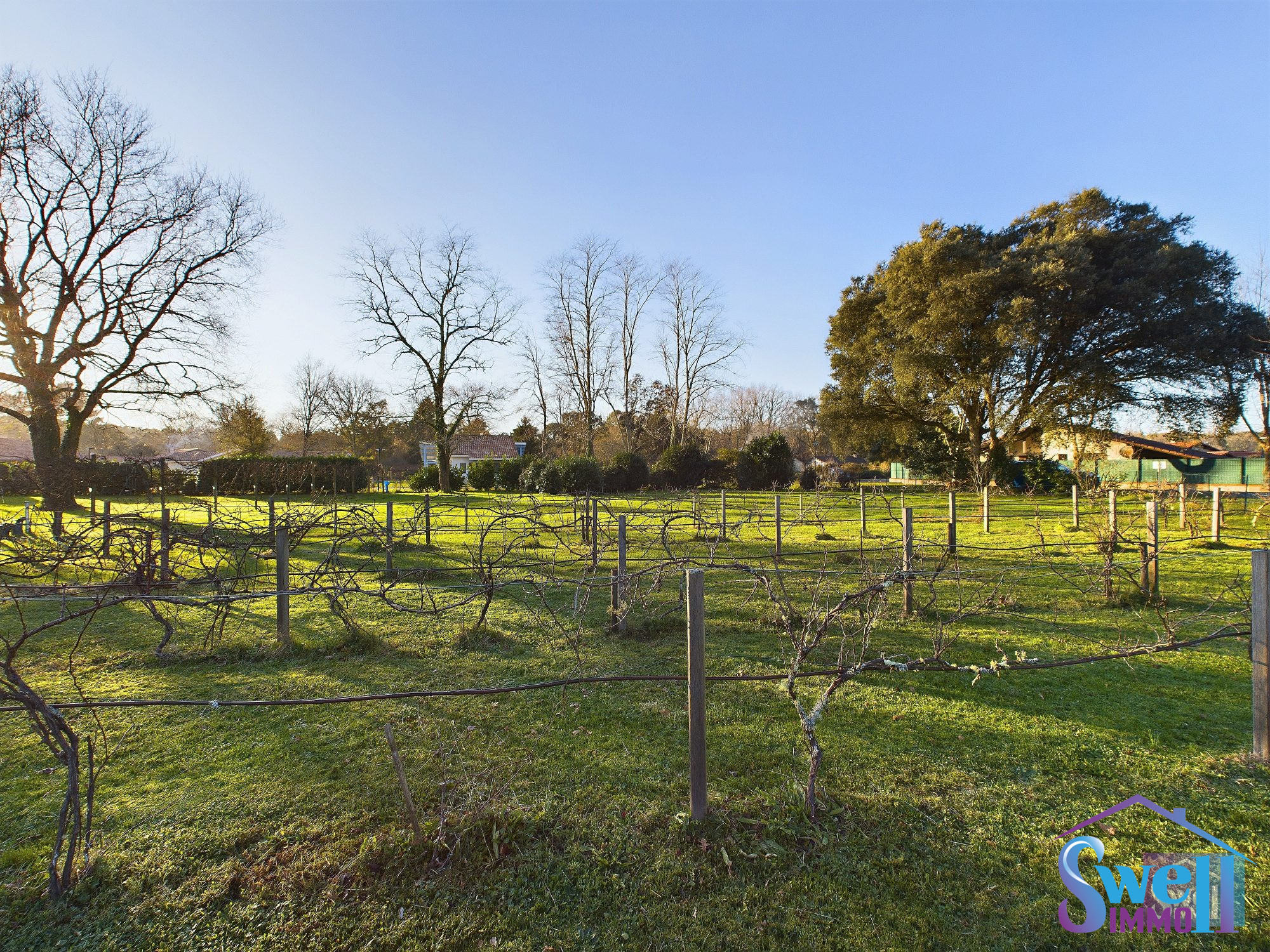 Vente Terrain SAINT-MICHEL-ESCALUS 40550 Landes FRANCE