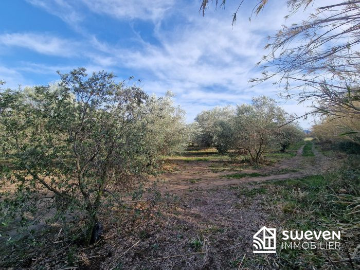 Terrain agricole à vendre, 24775 m² - Toulouges 66350