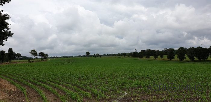 Agricultural land for sale, 90 ha - Côtes-d'Armor