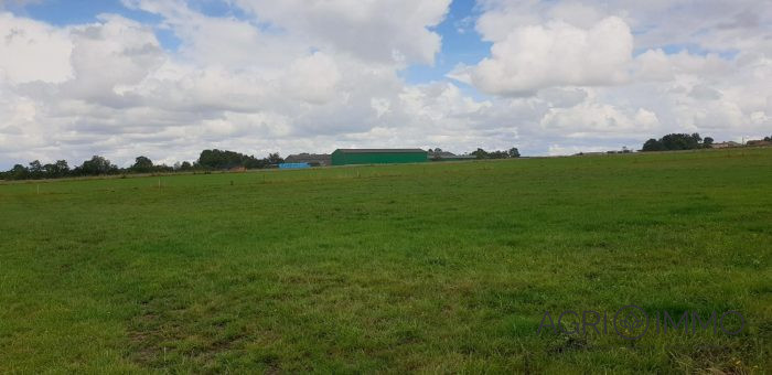 Agricultural land for sale, 130 ha - Loire-Atlantique