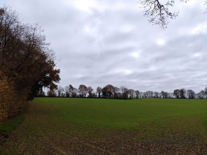 Agricultural land for sale, 133 ha - Sarthe