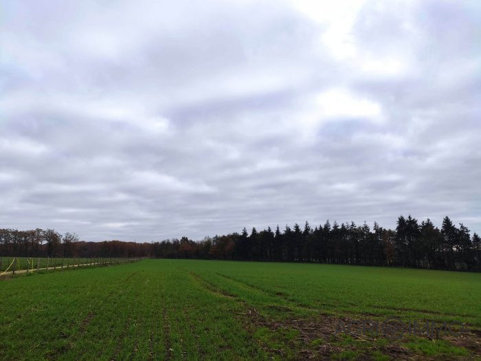 Agricultural land for sale, 133 ha - Sarthe