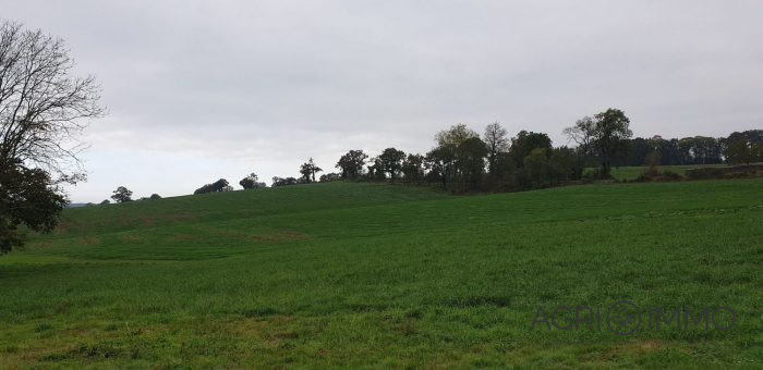Agricultural land for sale, 170 ha - Charente