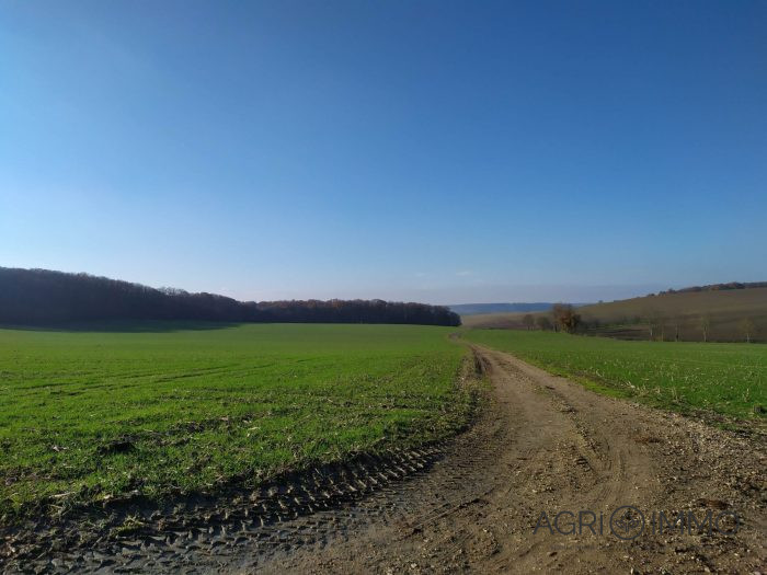 Agricultural land for sale, 180 ha - Indre-et-Loire
