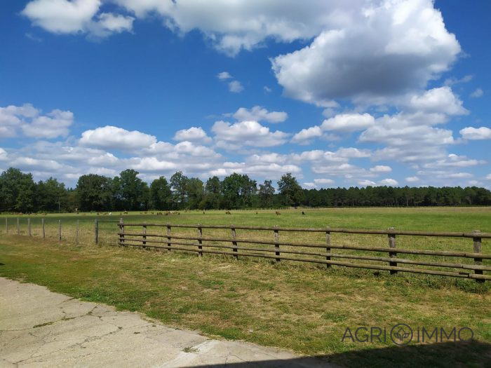 Agricultural land for sale, 20 ha - Maine-et-Loire