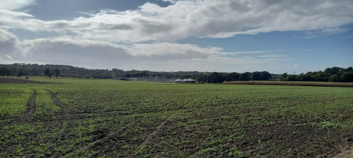 Terrain agricole à vendre, 215 ha - Morbihan