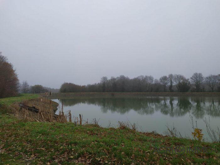 Agricultural land for sale, 115 ha - Loire-Atlantique